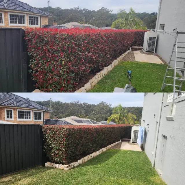 Ground Aid Lawncare & Maintenance cover