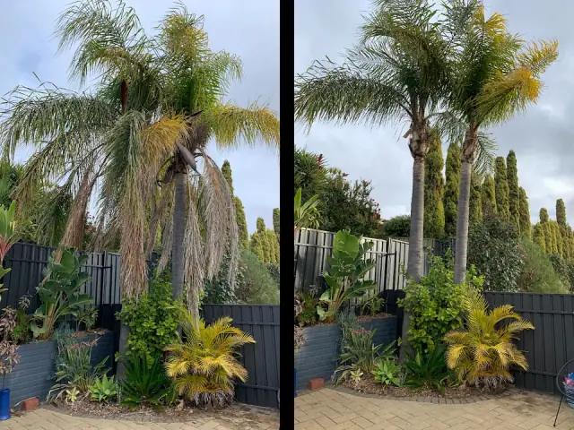 Grounded Garden Group cover