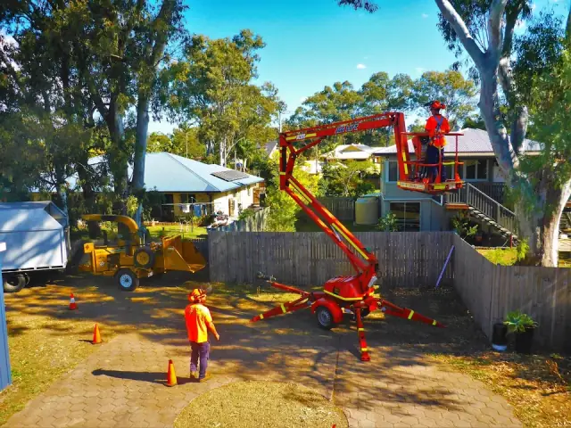 Groundy's Tree Services cover