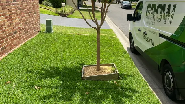 Grow Lawn Care Australia