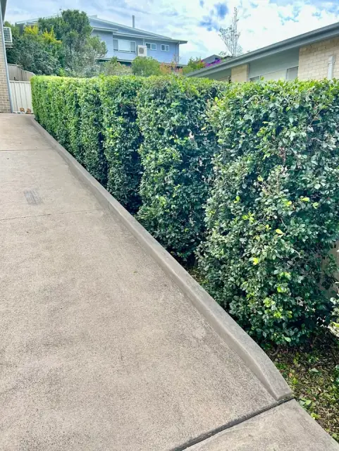 GROW lawns & hedges cover