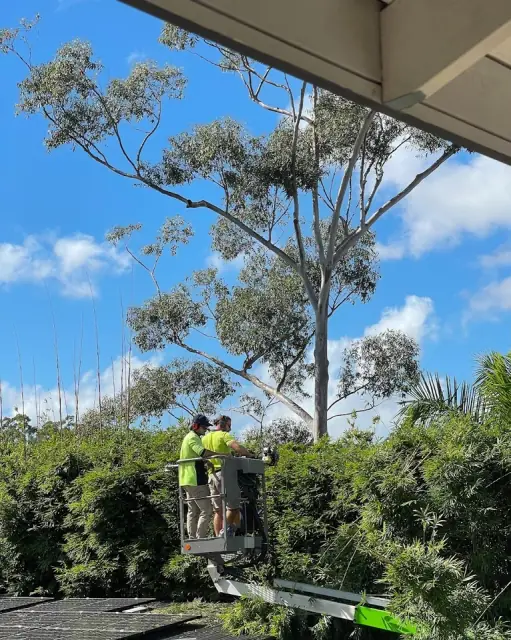 Guardians Garden and Tree Care cover
