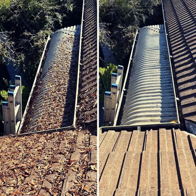 Gutter Clean Pro cover