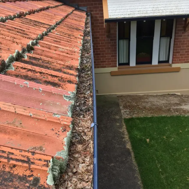Gutter-Vac Central West NSW cover