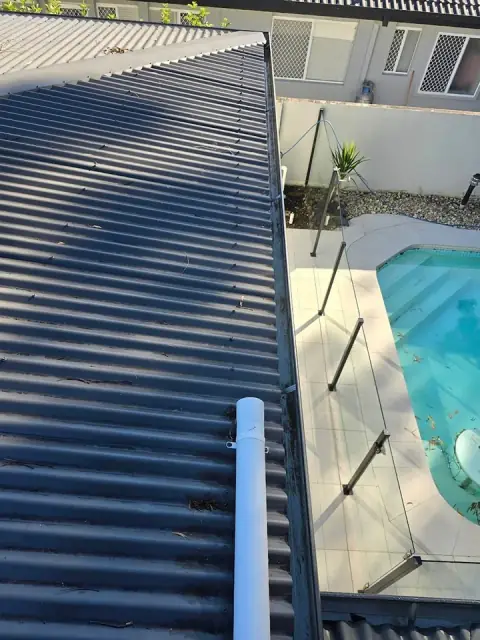 Gutters Blocked cover