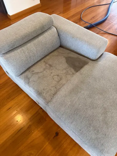 Gv carpet cleaning cover