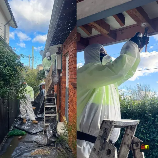 HandyFirst