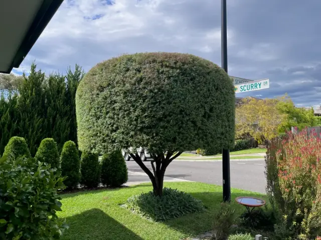 Hedge Works Ballarat cover
