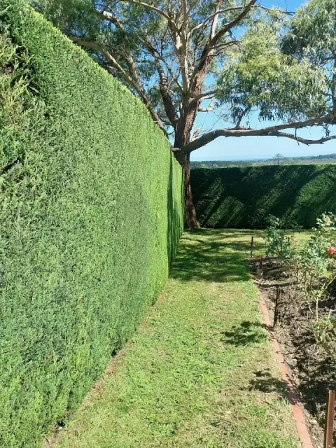 Hedge Works Brighton cover