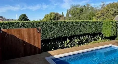 Hedge Works Geelong cover