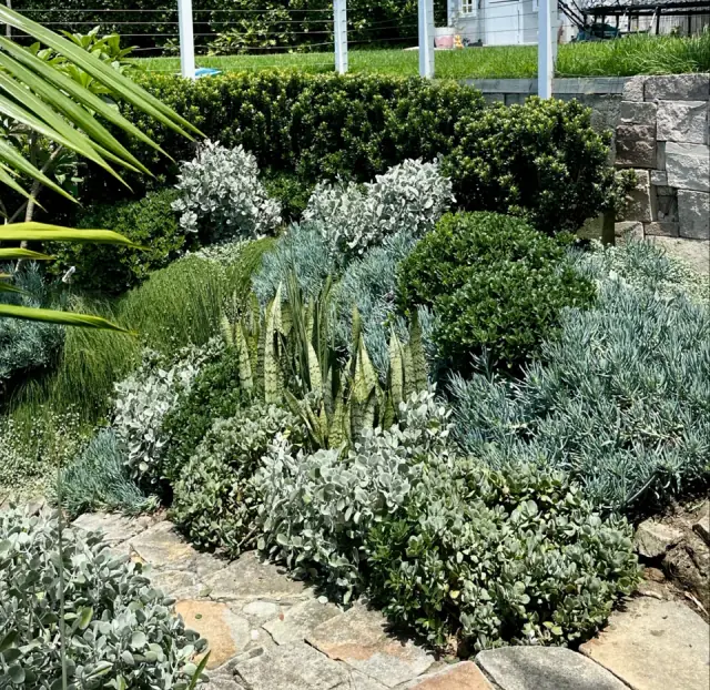 Helia Horticulture