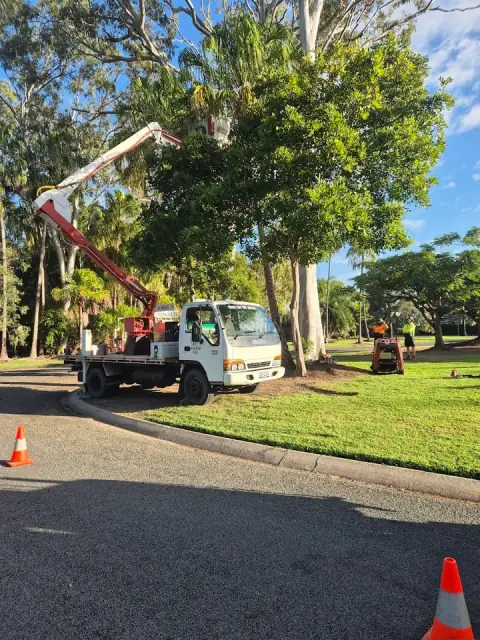 Hervey Bay Tree Services