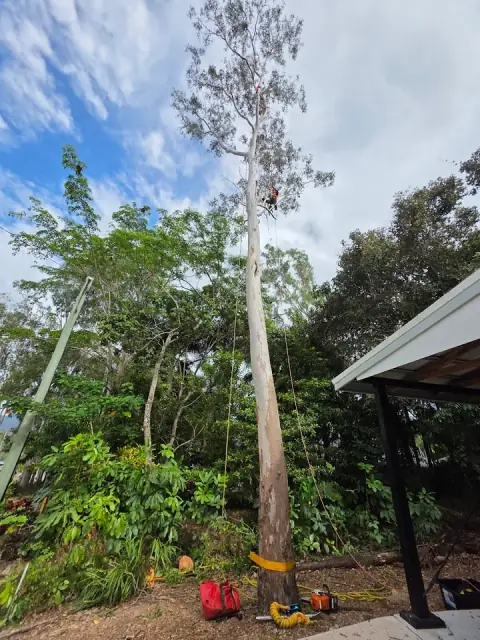 Hi-Line Tree Services