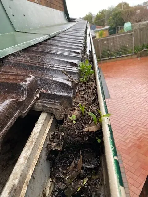 Hi-Lo Gutter - Vacuum Gutter Cleaning