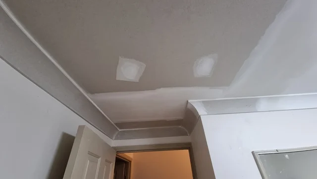 Hi-Spec Ceiling Repairs cover