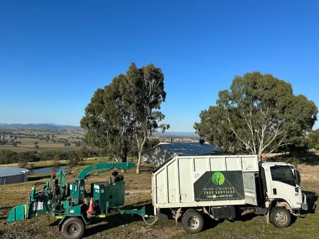 High Country Tree Services
