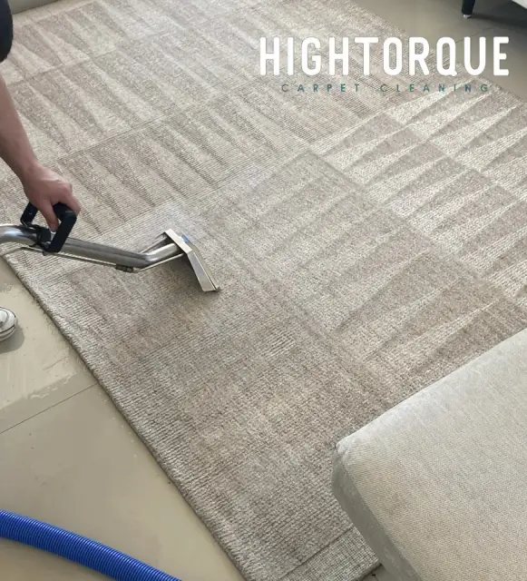 HighTorque Carpet Cleaning cover