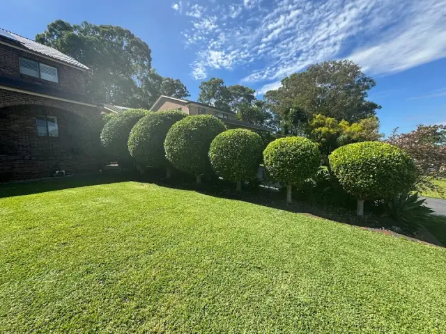 Hills Area Mowing cover