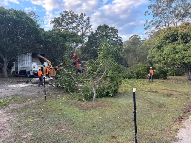 Hitech Tree Services