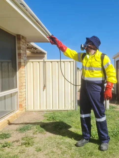 Hive Pest Control