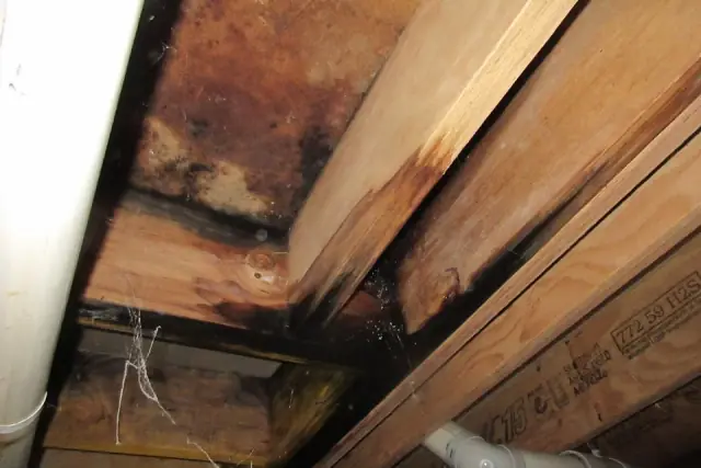 Hobart Building Inspections cover