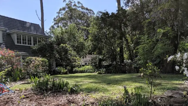 Homes & Hedges