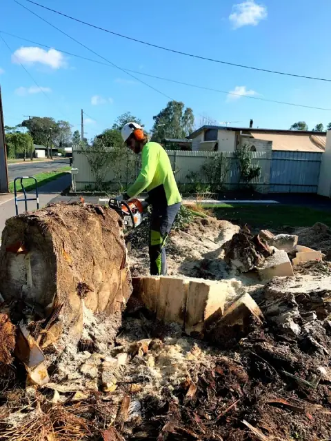 Honest Tree Services cover
