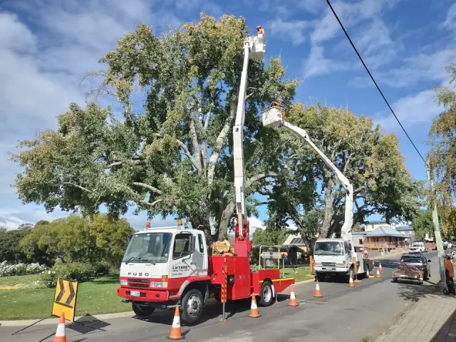 Horizon Tree Service cover