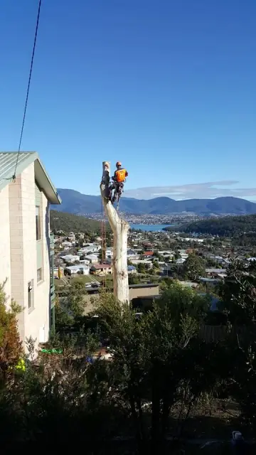 Horizon Tree Service