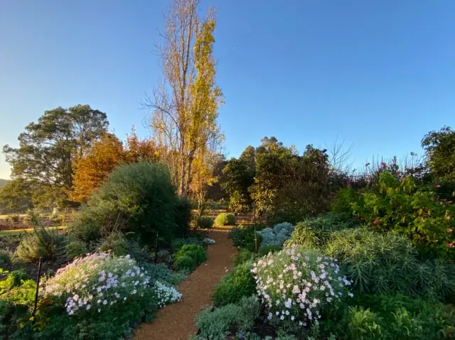 Hort Plan Pty Ltd cover