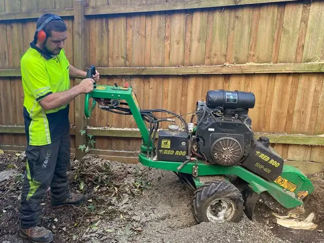 Horwood Tree Services
