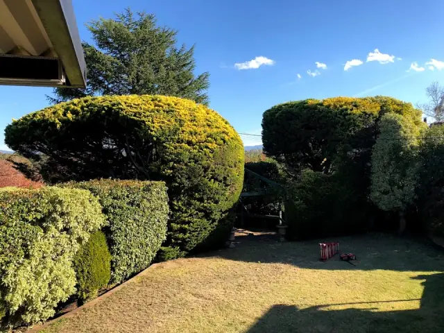 Hurley Bird Tree Services cover