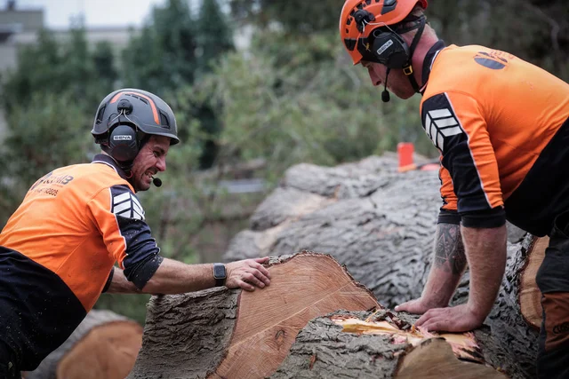 iClimb Tree Services Melbourne cover