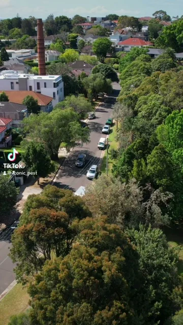Iconic Pest Solutions | Termite & General Exterminators | Termite Specialists in Sydney cover