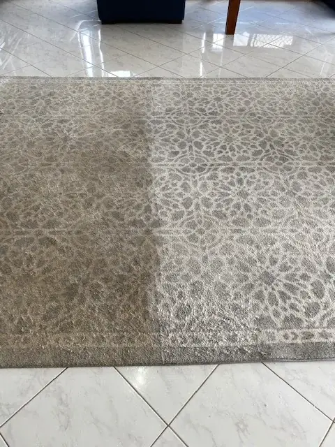 Ideal Carpet Cleaning & Pest Control Toowoomba cover