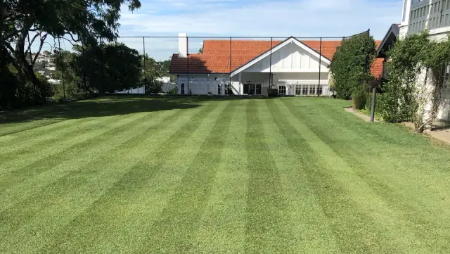 iGrass Services