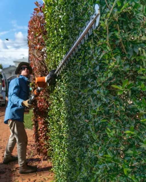 Illawarra Yard Maintenance cover