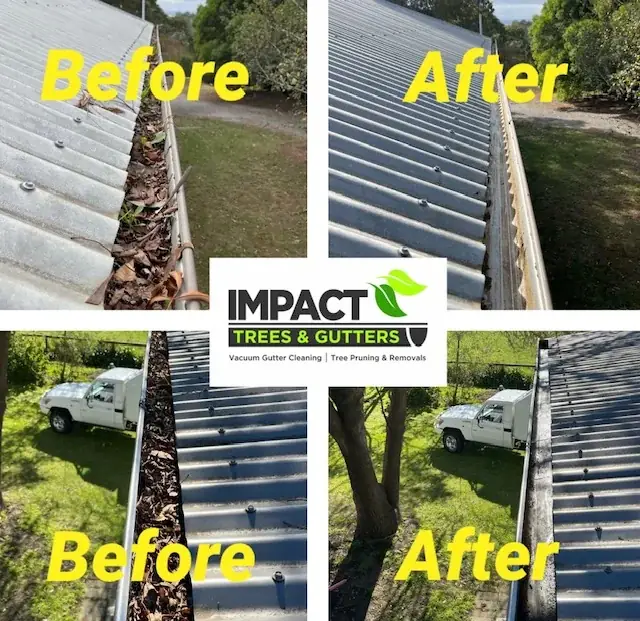 Impact Trees & Gutters cover