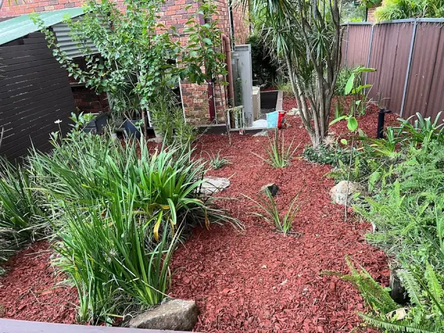 In N Out (Commercial Landscape Management) cover