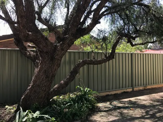 Inbound Fencing cover