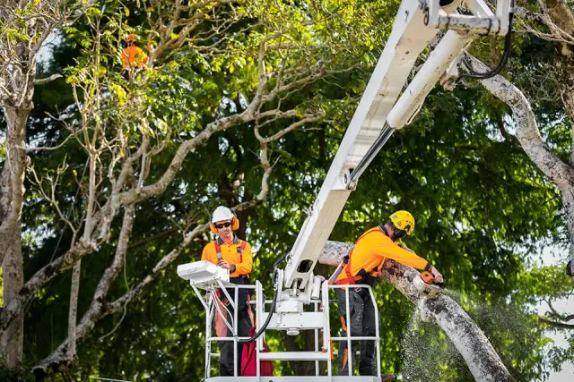 Independent Tree Services