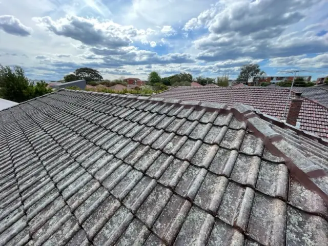 Inner West Roof Repairs cover