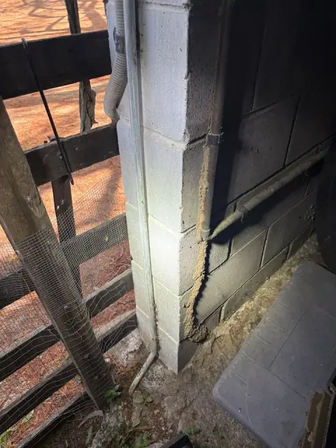 Ipswich City Pest And Termite Control cover