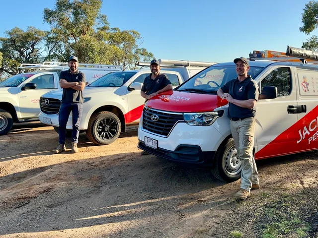 Jacka Bros Pest Control - Anglesea