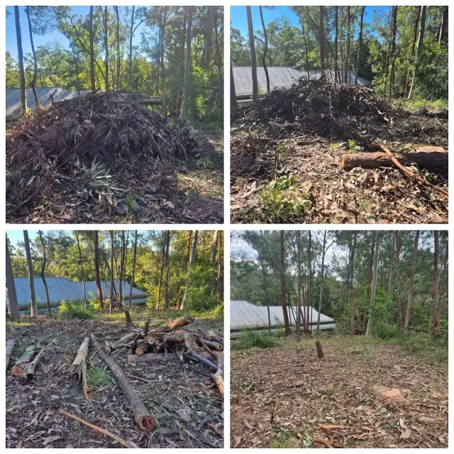 James Home Services Lawn & Garden Care - Reedy Creek cover