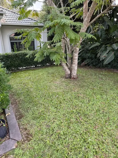 James Home Services Lawn & Garden Care - Reedy Creek