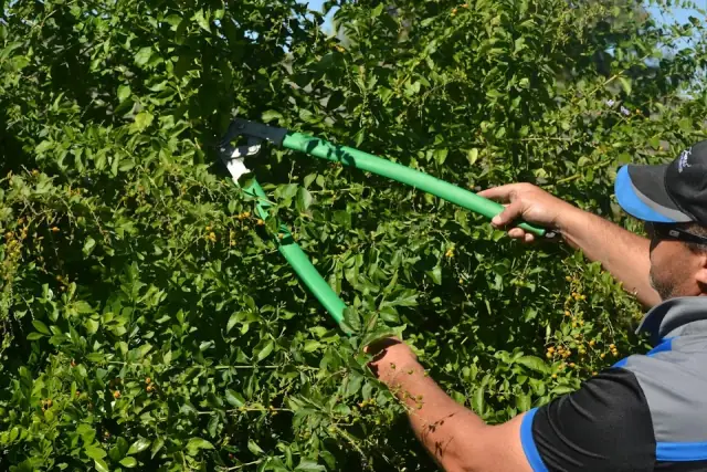 James Home Services Lawn & Garden Care - Springfield / Springfield Lakes cover