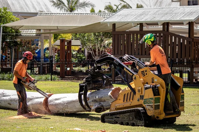 JC Tree Services