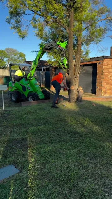 JCL TREE SERVICES cover
