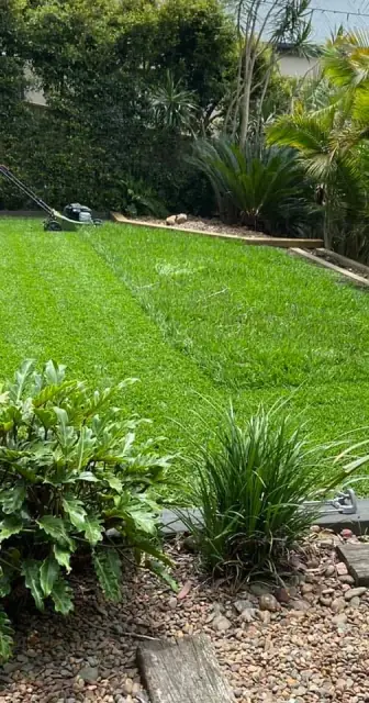JD's Mowing and Landscaping